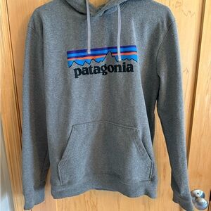 Patagonia Gray Men's Sweater